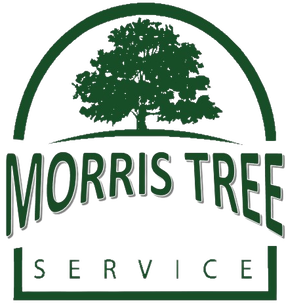 sarasota tree service logo morris tree service